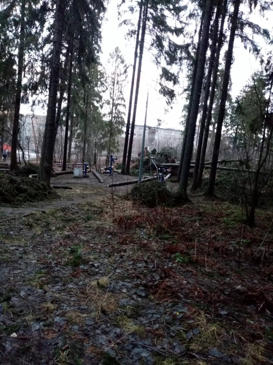     Источник: Подслушано в ПТЗ | Петрозаводск / vk