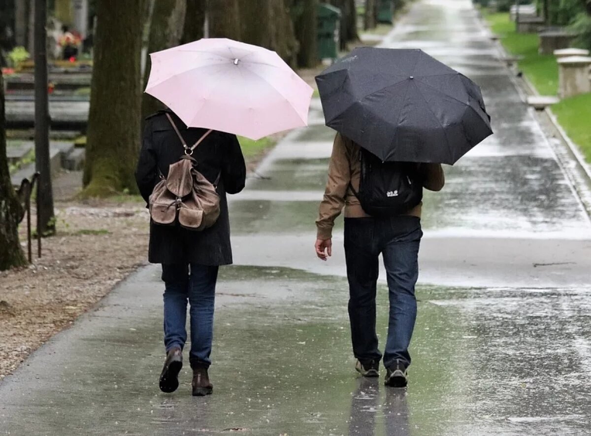    В Твери ноябрь 2024 года попал рейтинг самых ненастных за последние 40 лет