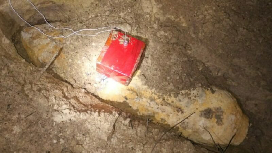    Фото: мэрия Краснодара