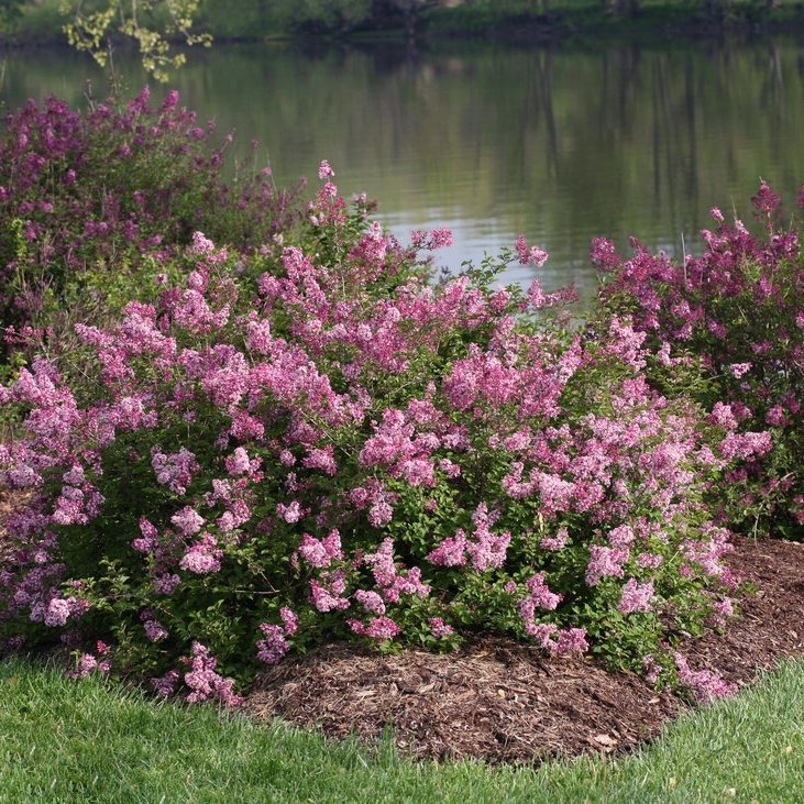 Листайте галерею.