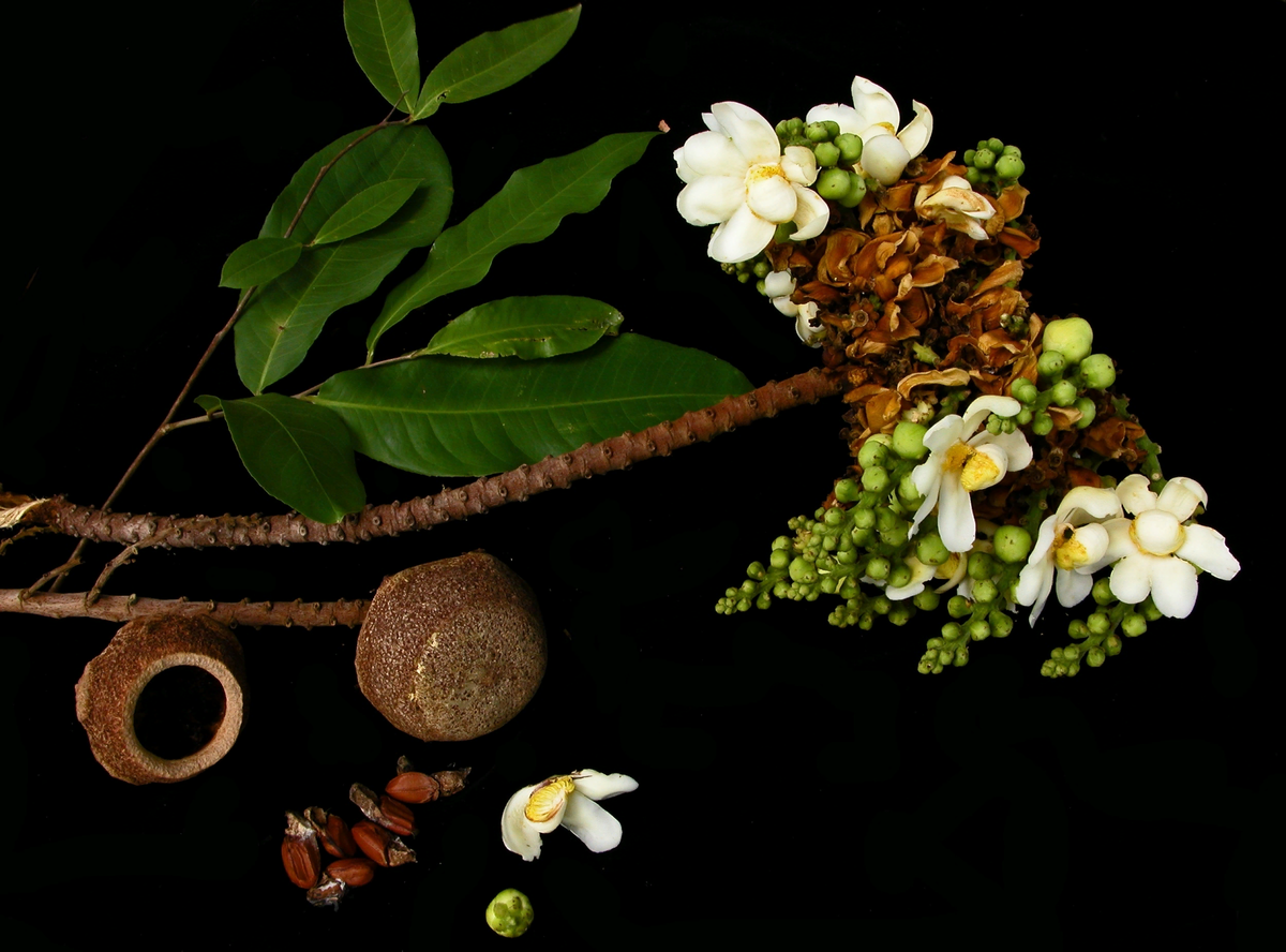 Всего понемножку