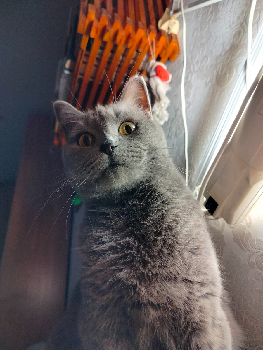 Это что? Ты мне стихи читаешь?