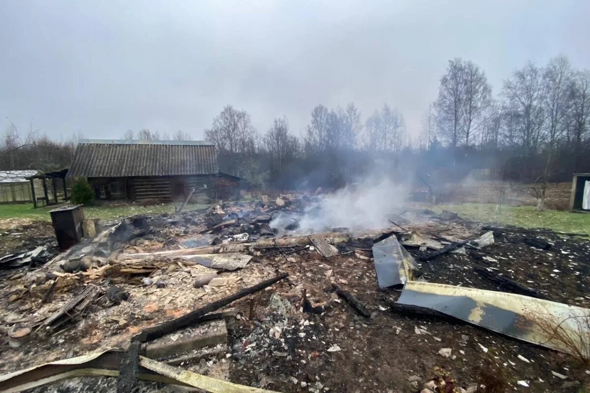    Под Псковом следователи проводят проверку по факту гибели мужчины на пожаре