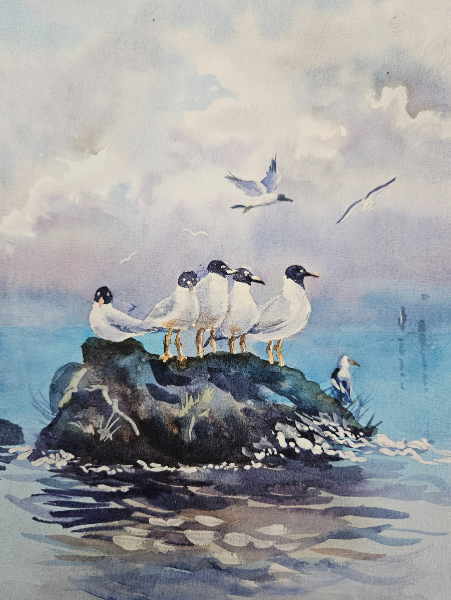 Чайка слева мне особенно мила своим прелестным косоглазием)