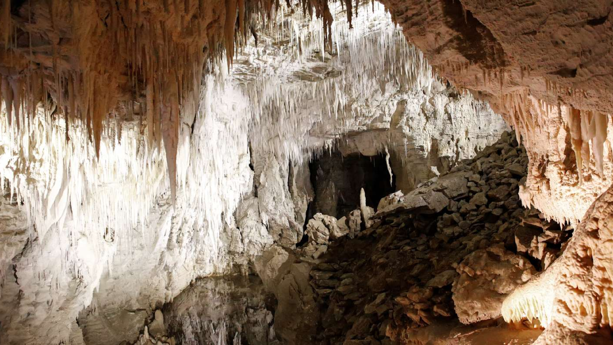 Пещеры Вайтомо имеют карстовое происхождение. Расположены в регионе Северный Кинг-Кантри на Северном острове Новой Зеландии , в 12 км к северо-западу от Те Куити. Источник: getyourguide.com