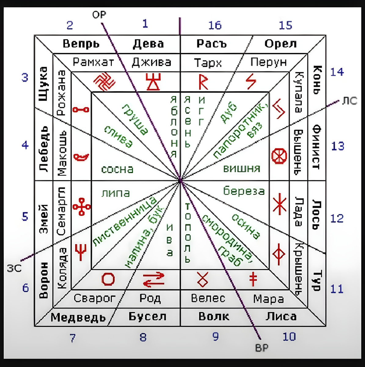 + есть священное дерево. 