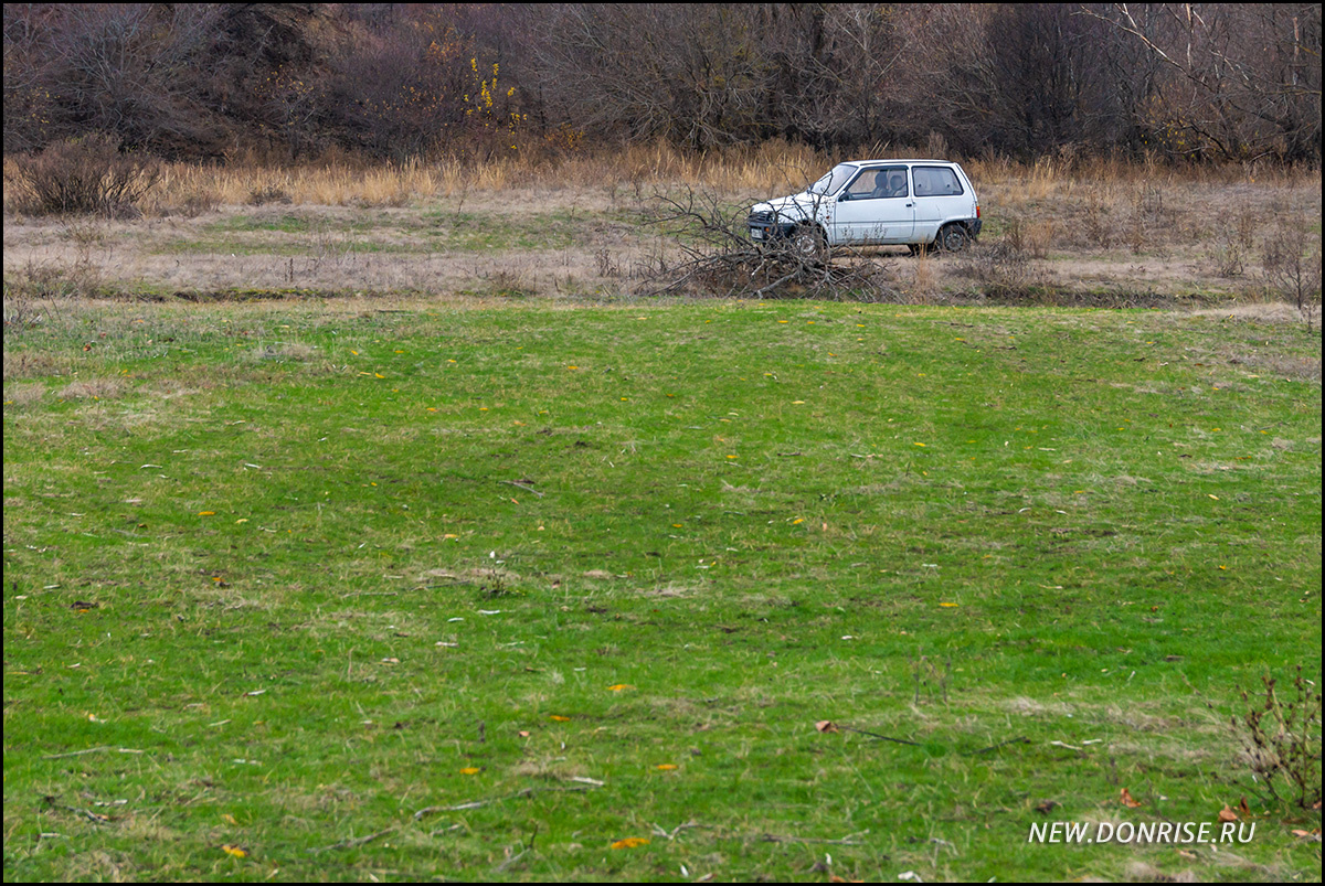 Лужок и «мустанг»