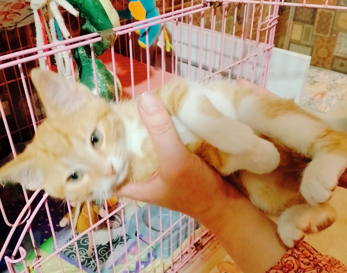 Первое знакомство )