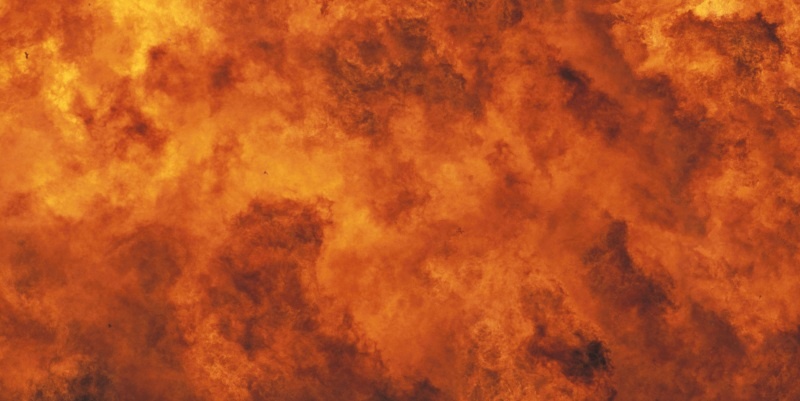    Фото: Arco Images/LaTerraMagica/Globallookpress