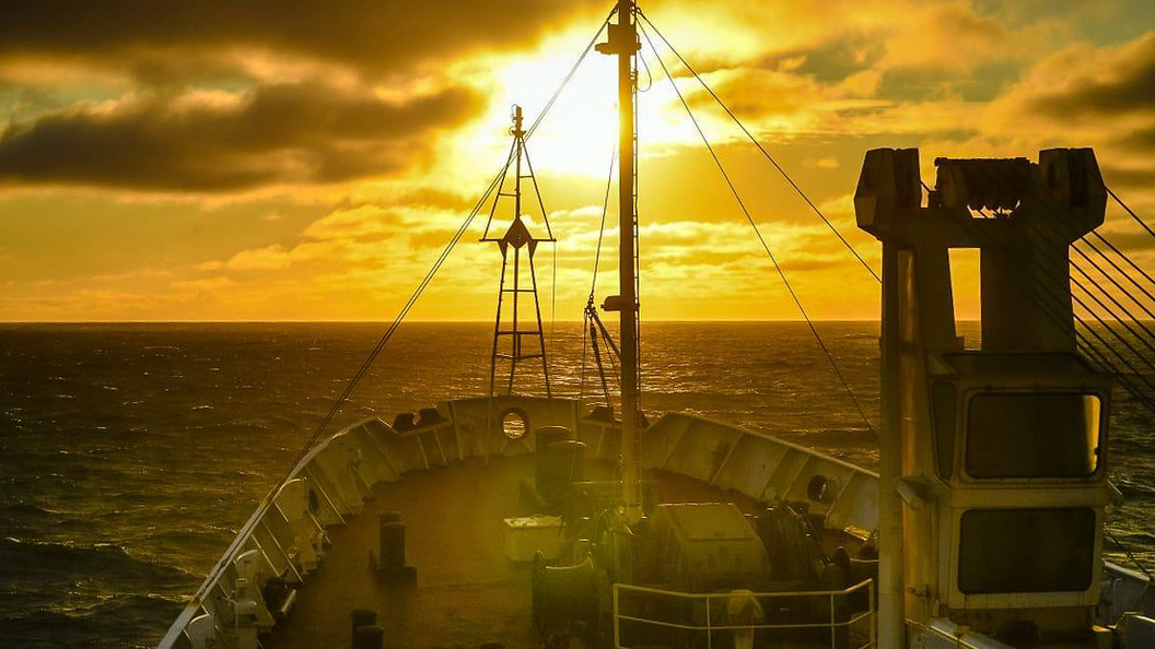    Фото: MOD Russia