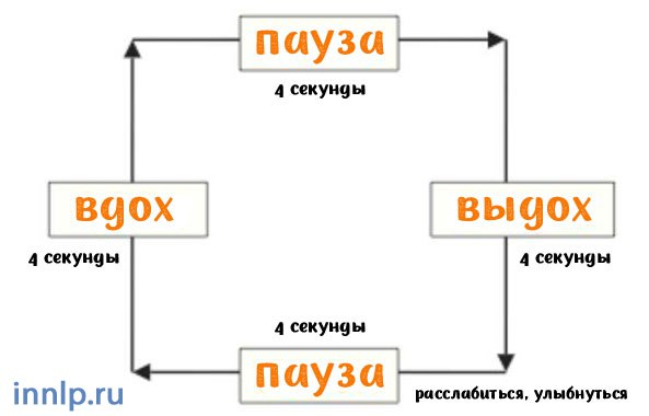 https://www.innlp.ru