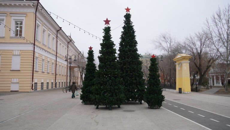    На улицах Оренбурга продолжают устанавливать новогодние ёлки Оренбуржье