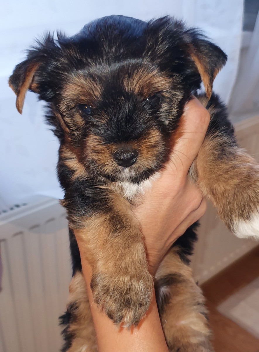 Первый день дома 