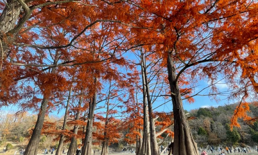 Топ-15 самых красивых мест России, которые стоит увидеть хотя бы раз в жизни