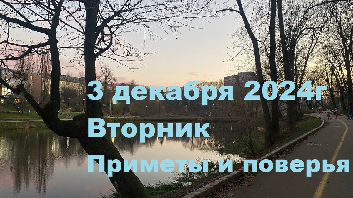 (На фото : Калининград -1.12.24)