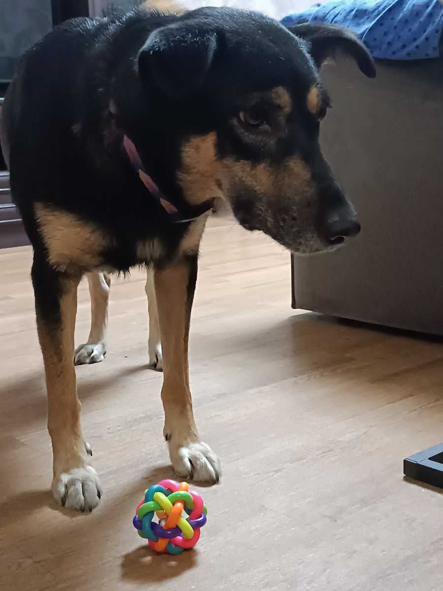 Лялька в угрожающей позе. Личное фото автора