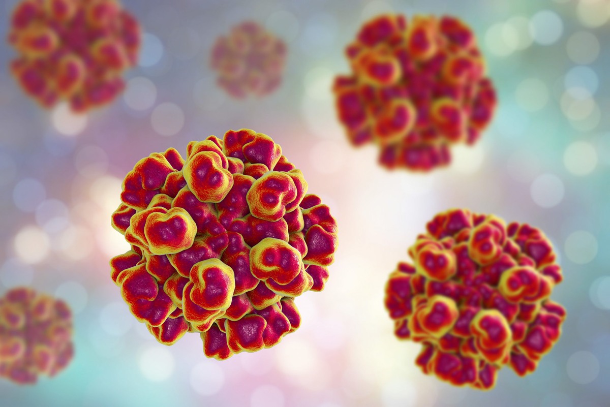     Вирус гепатита Е погибает при воздействии высоких температур и антисептиков, но может долго жить в сырой воде и не до конца приготовленном мясе. Фото: British liver trust