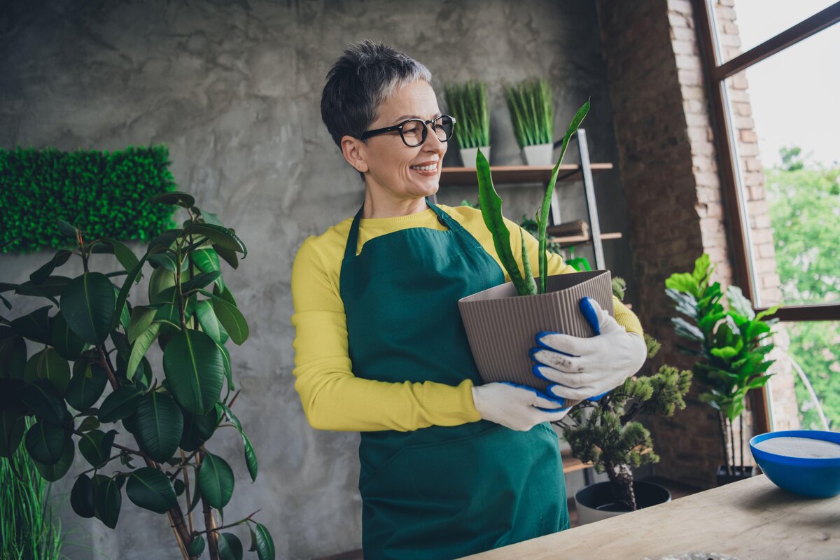     Можно ли пересаживать комнатные цветы зимой  — что говорят эксперты?