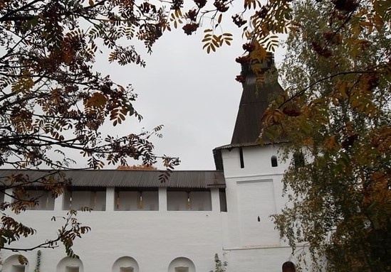 Фотографии автора