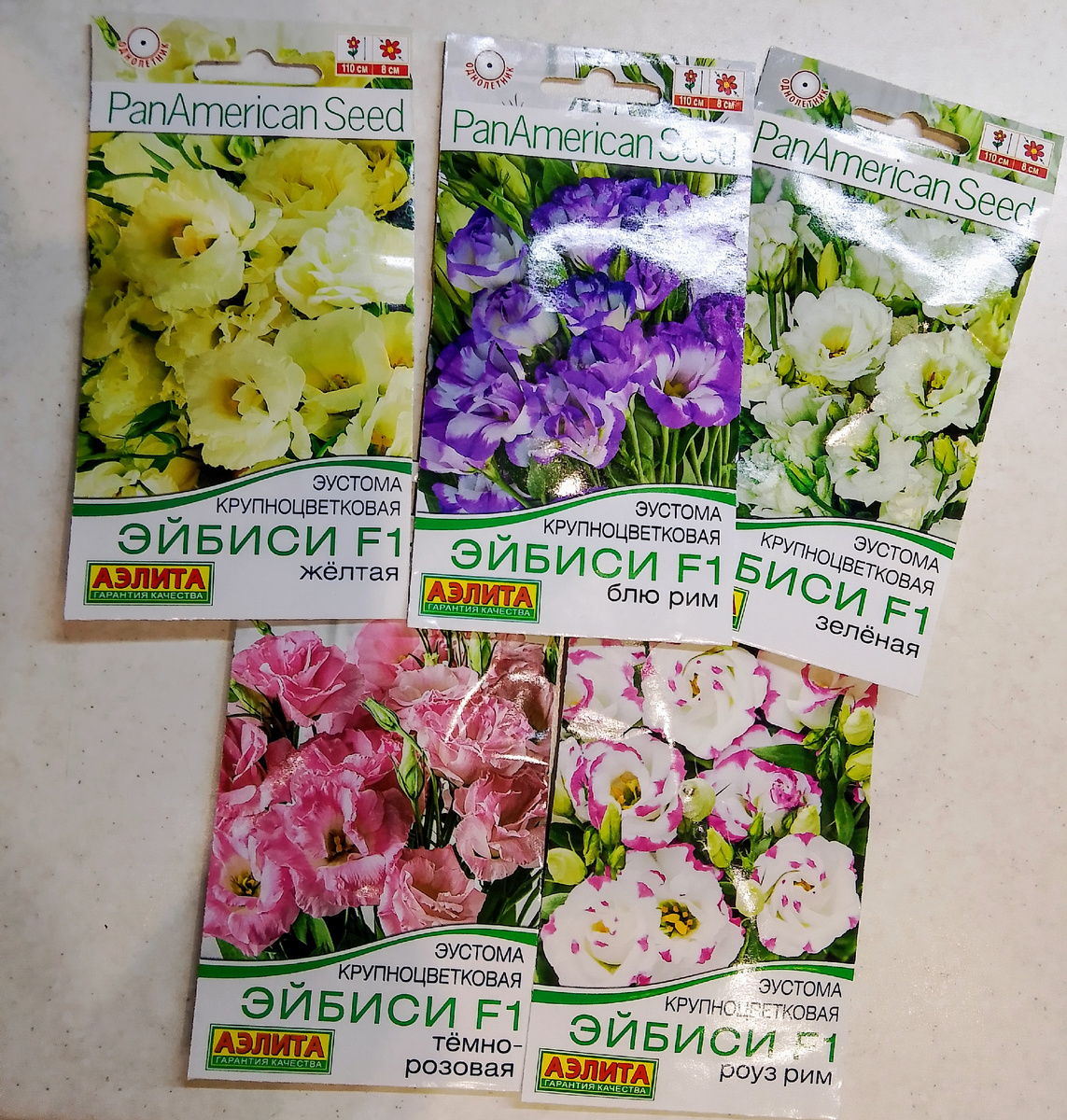 Крупноцветковая 