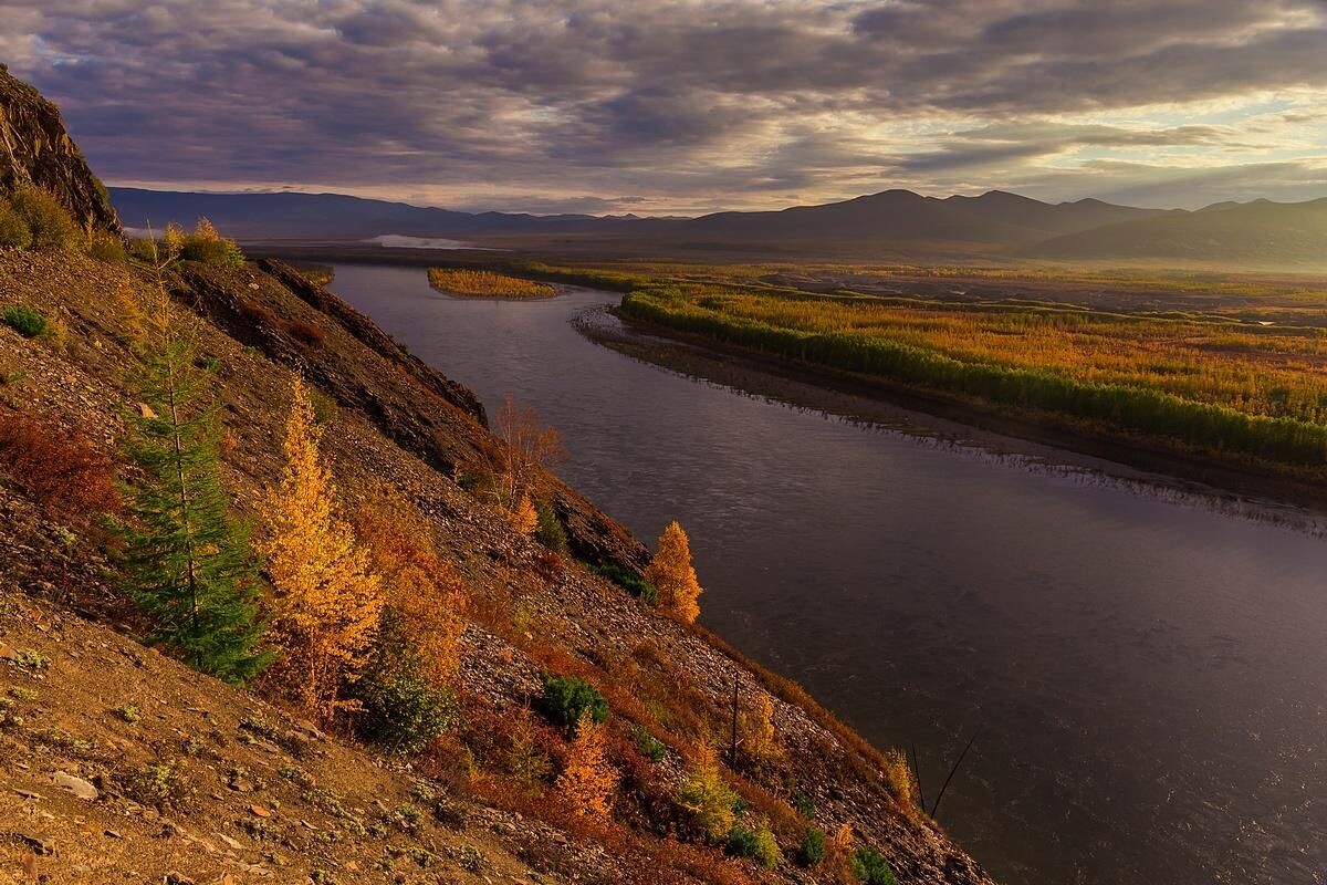 Фото взято из интернета.