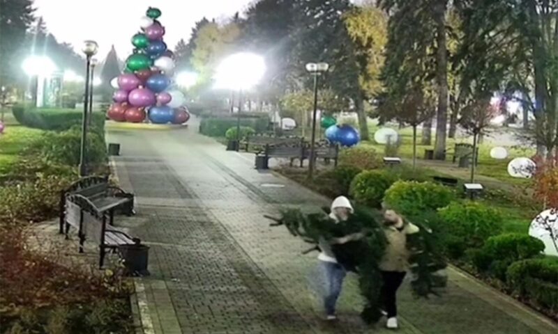    Видео t.me/mvd23krasnodar