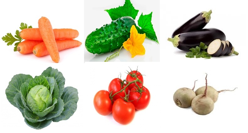 Фото взято из открытых источников