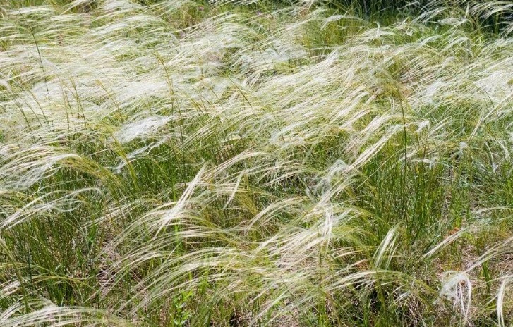 Источник : Яндекс  картинки.  