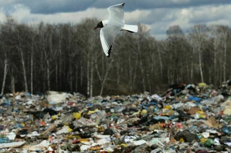   Александр Кряжев / РИА Новости