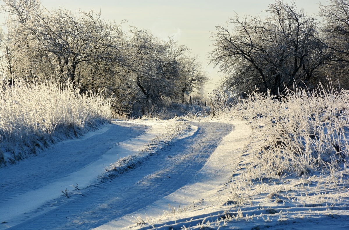 Голубая дорога. Фото Натальи ТРАПЕЗНИКОВОЙ,