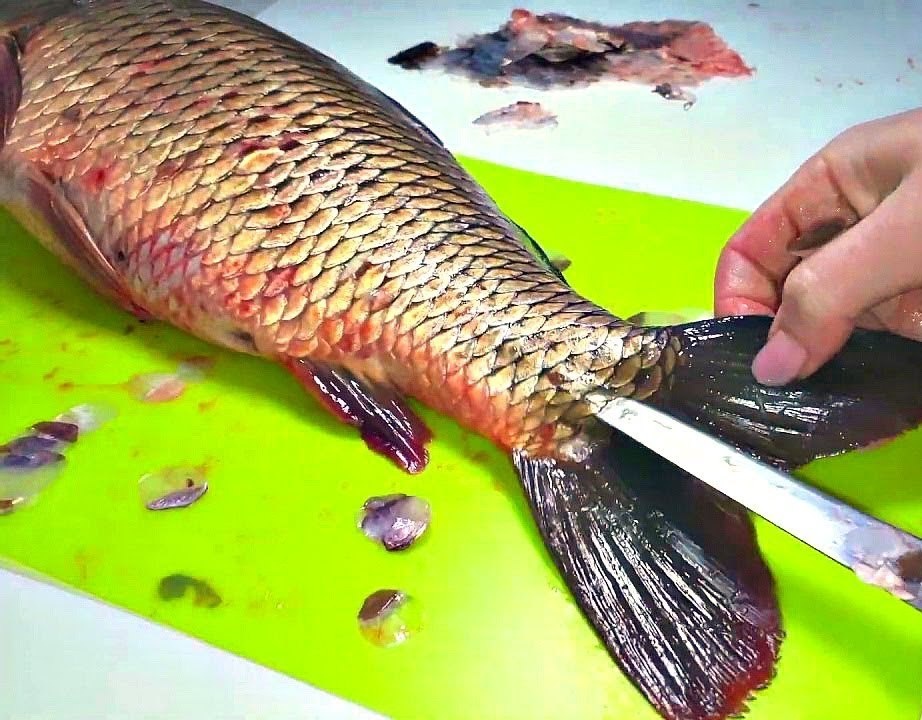 Фото из открытых источников.