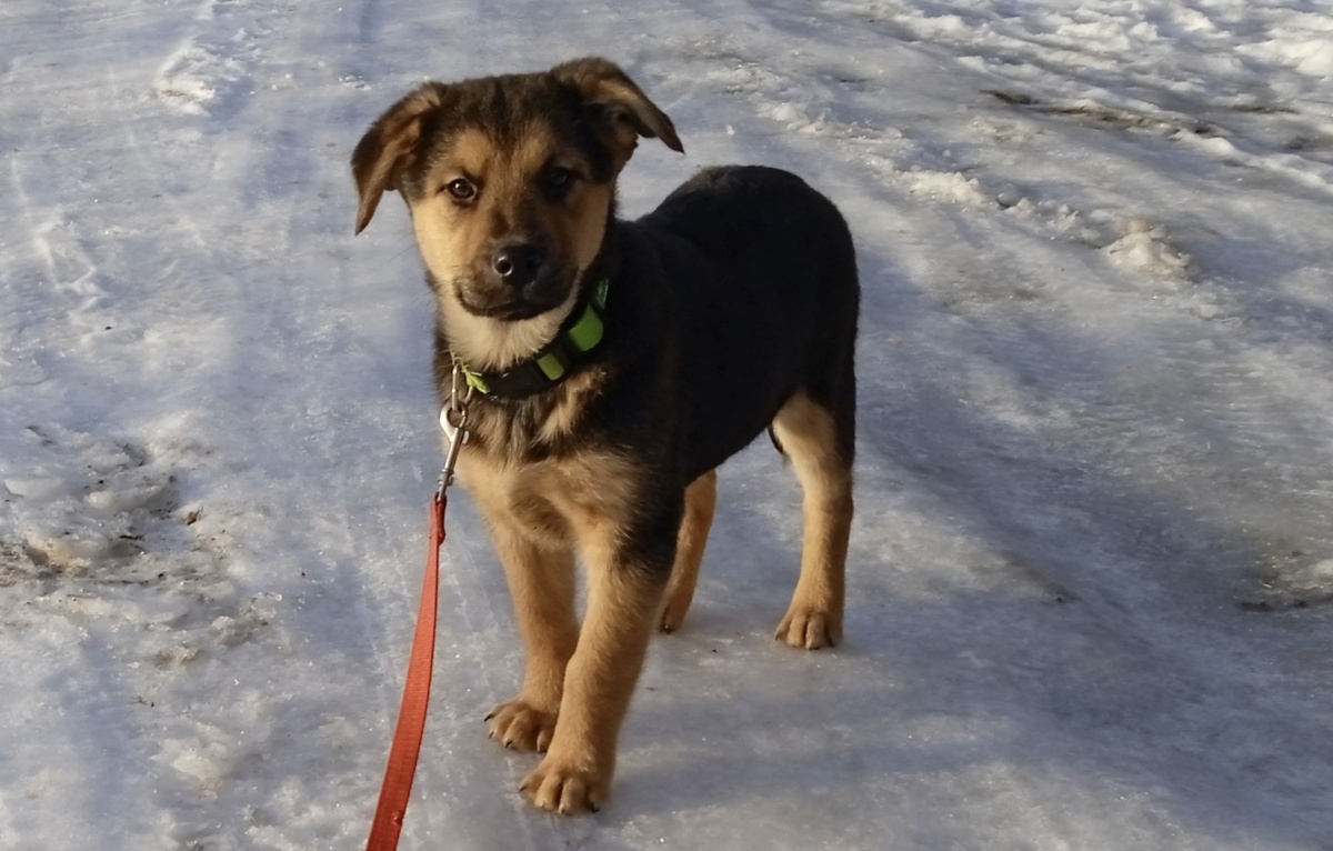 Ася почти в 2 раза была ростом меньше братьев. 