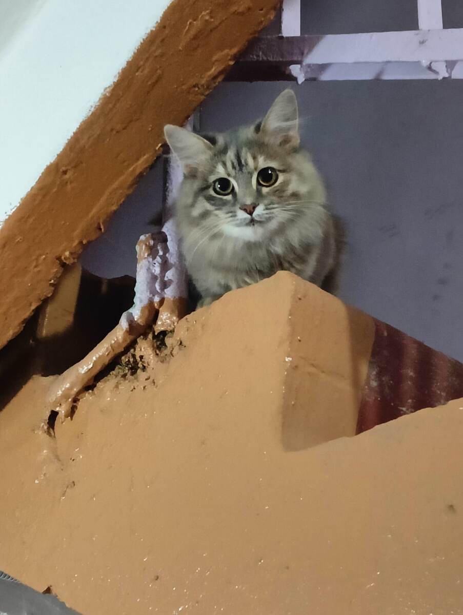 Марусенька очень молода и пуглива