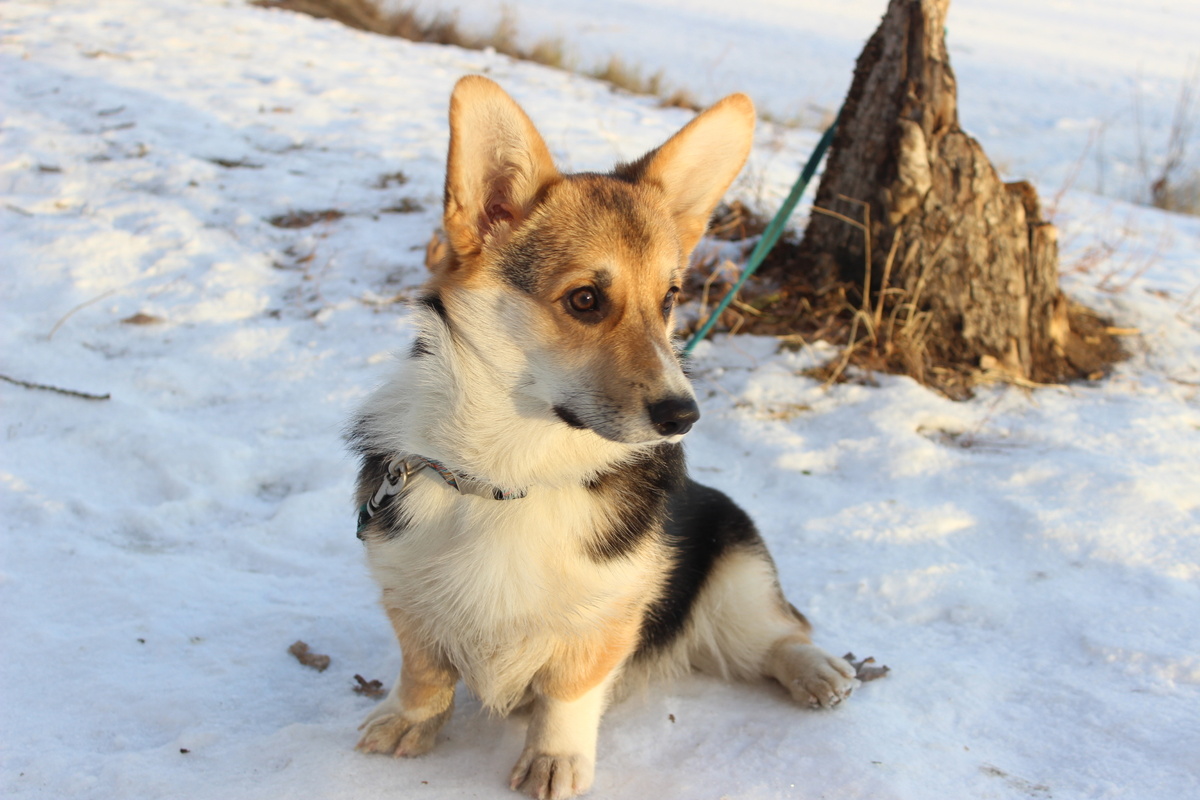 На прогулке. 