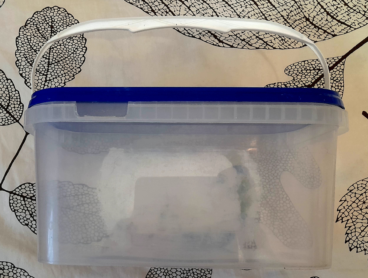 Фото автора канала