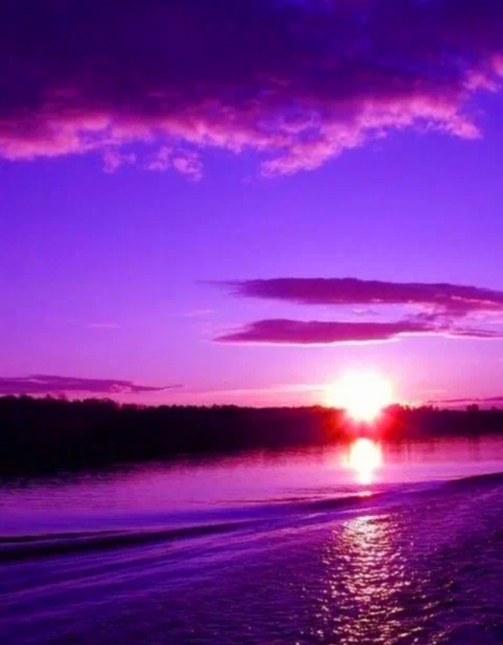 фото из общедоступных источников 