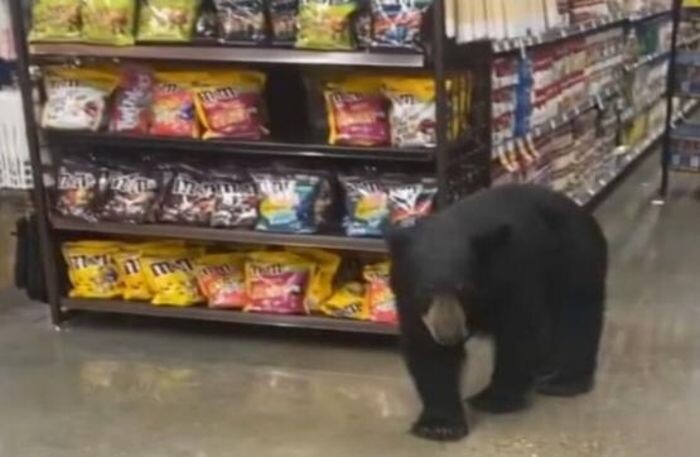 Источник фото: фото из открытых источников - для иллюстрации