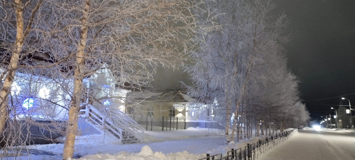 Красавица зима (фото автора 29.11.2024 время 21:03)