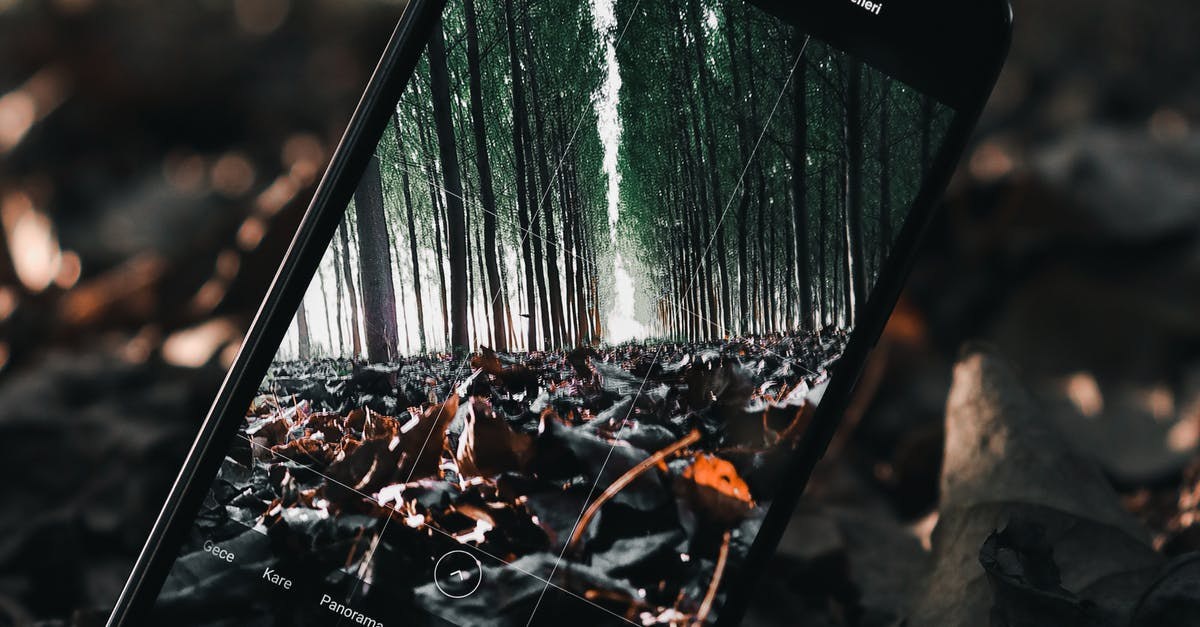 Фото: by Atahan Demir