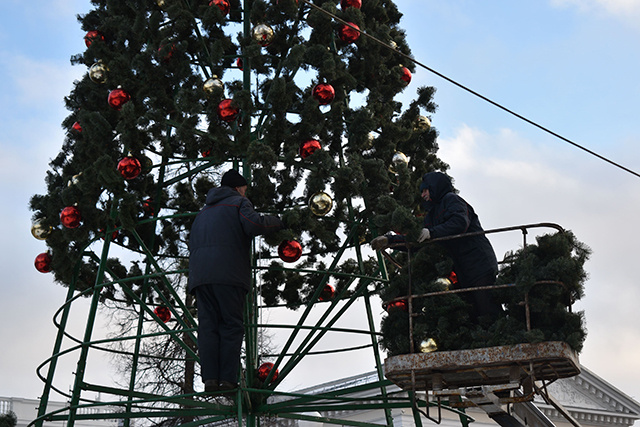 В Твери поставят 20 новогодних елок