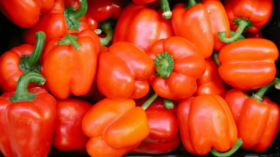 Фото: Thomas Hoang, unsplash.com