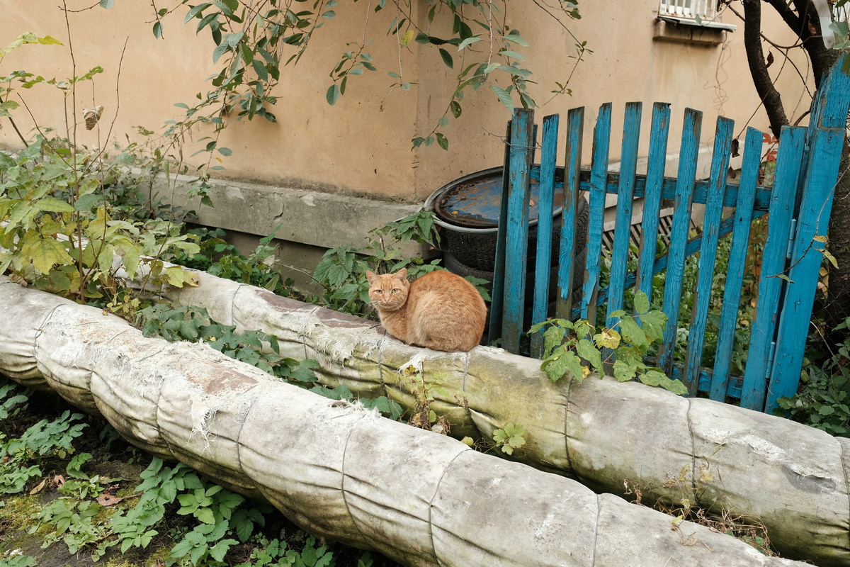 Вы кто такие? Я вас не звал!