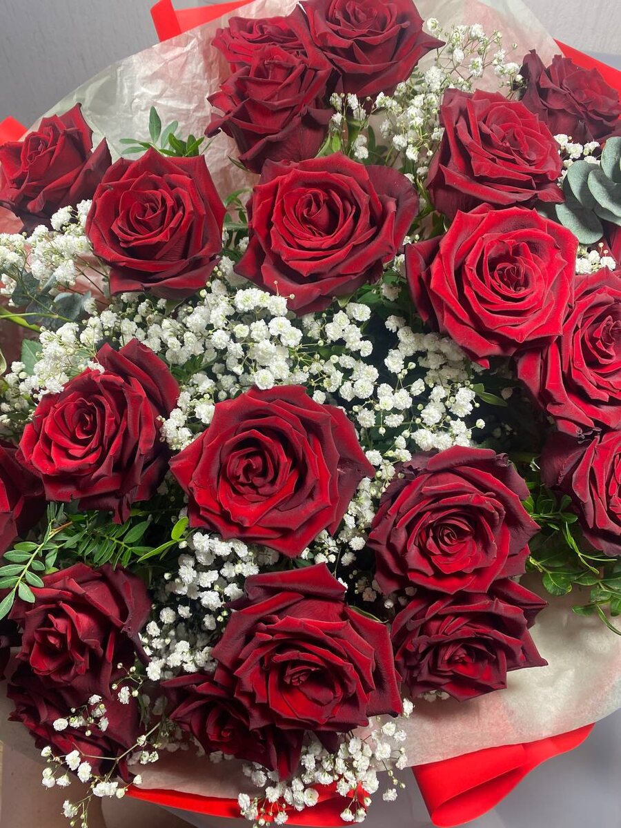 Букет из 25 роз Эквадор, гипсофилы, пистиции, эвкалипта
