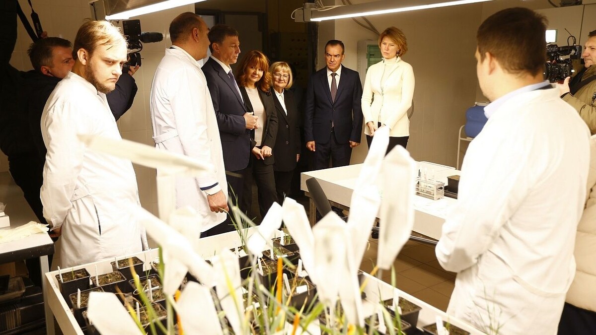    Фото: пресс-служба администрации Краснодарского края