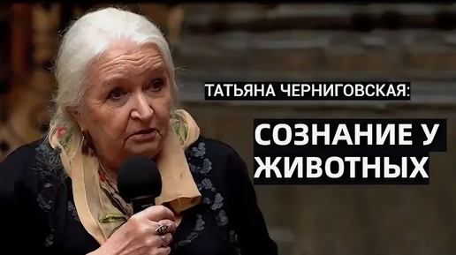 Интересные лекции видео