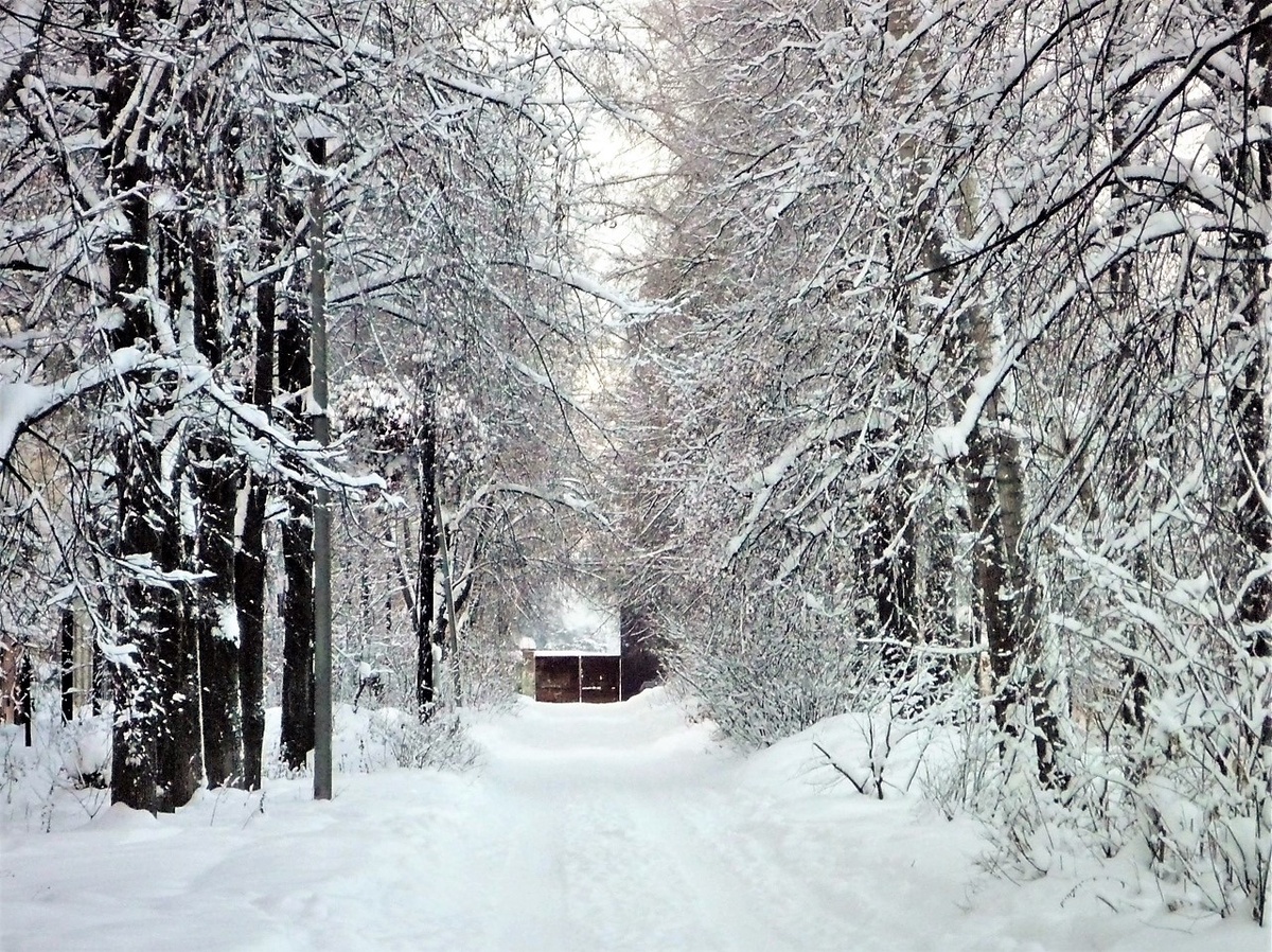 Фото автора