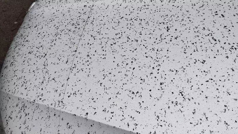     Источник: https://vk.com/wall-62429852_686684