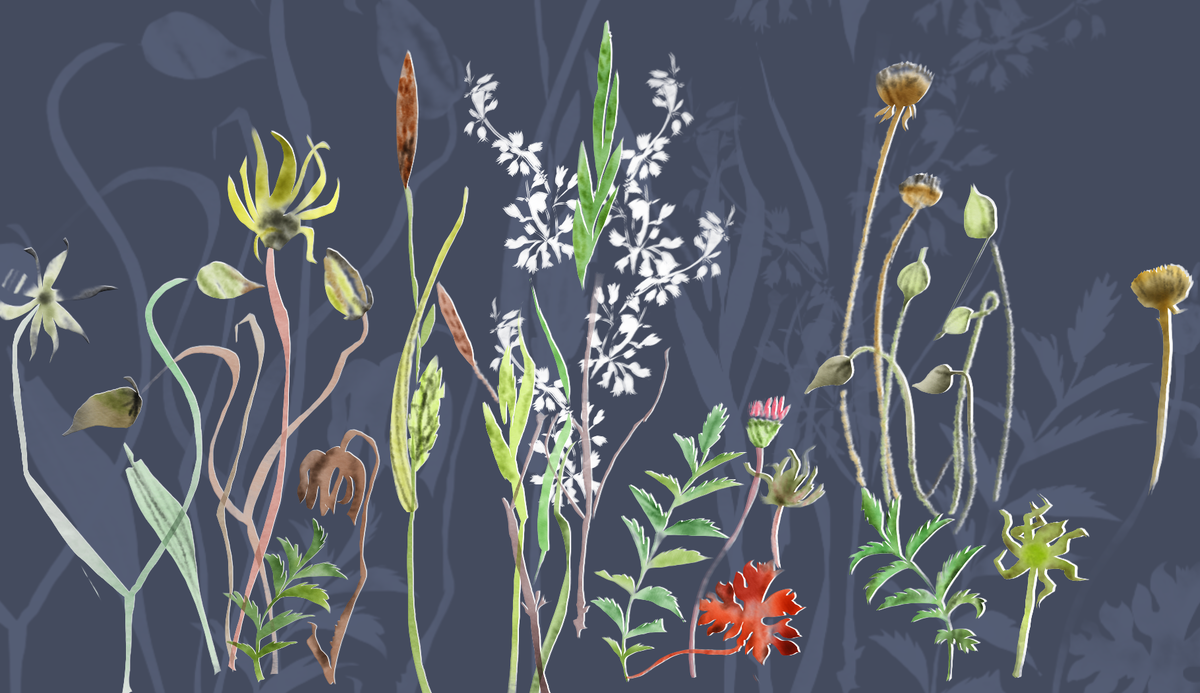 Иллюстрация Екатерины Ковалевской