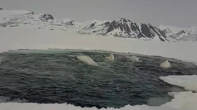 Три кругом бегом, побежали!!