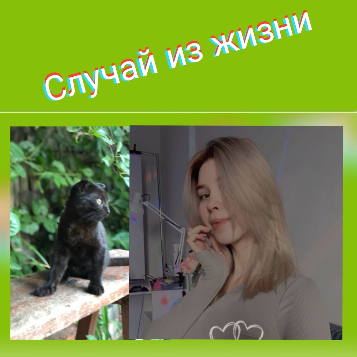 Коллаж NovaLife. Фото Надежды Новаковой